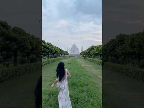 Taj Mahal View From Mehtab Bagh Park #agra #tajmahal #indiatravel #traveldiaries #travelinspo #india