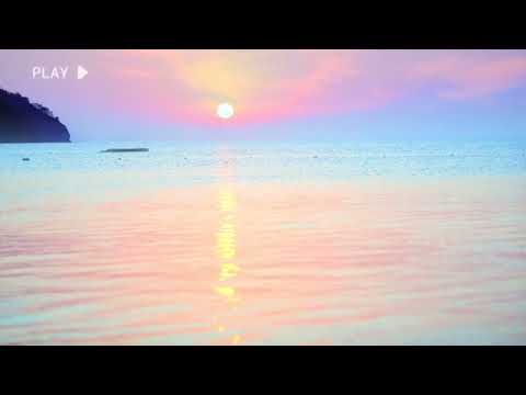 sunshine state of mind - summer lofi x chill lofi hiphop | relaxing beats (study, work, vibe, relax)