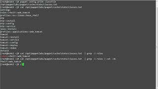 9.5 Puppet Facter & Facts,Custom role fact
