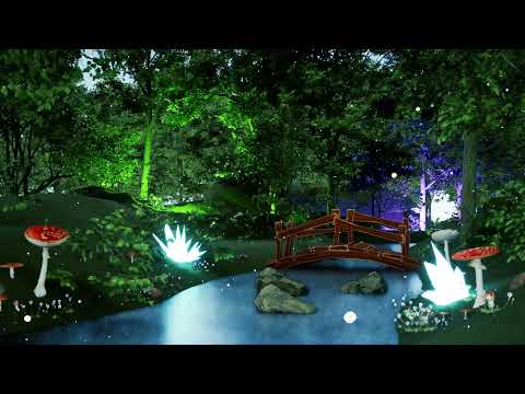 Enchanted Forest 🌲~ Music and Ambience - Forest Sounds for Meditation and Relaxation
