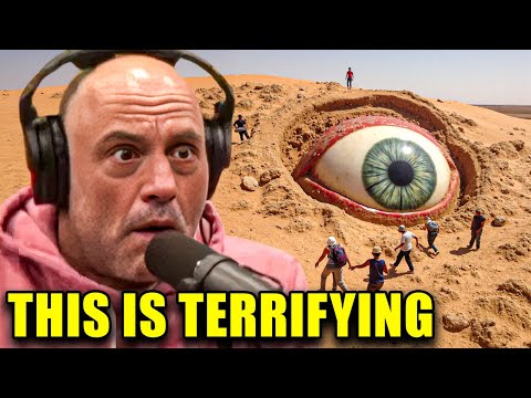 Joe Rogan Reveals AFRICA SHUT DOWN The Sahara After Drone Captured THIS