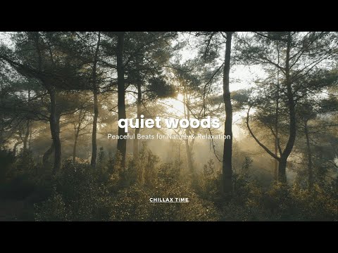 quiet woods / Peaceful Beats for Nature & Relaxation