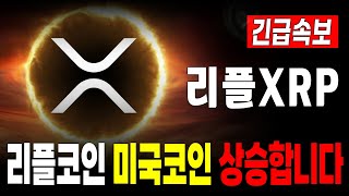 [리플 전망] 리플 XRP 미국 코인 상승합니다 #리플대응 #긴급속보 #리플 #XRP #SEC #업비트시황 #코인시황 #급등코인추천 #갈링하우스