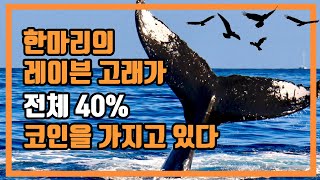 비트코인 고래와 레이븐코인 고래지갑 털어보기 (feat 레이븐 고래 되기 프로젝트)