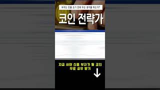 [도지코인 전망] 도지 홀더분들이라면 꼭 시청 해야 하는 영상