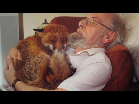 Animals Teach Us Love is the Answer to Everything ❤️