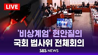 '비상계엄' 현안 질의 .. 국회 법제사법위원회 전체회의 / SBS