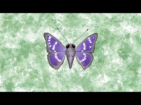 music for bugs - butterfly