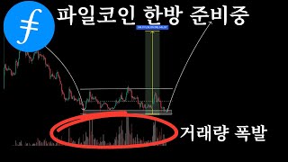 96% 폭락한 파일코인, 지금이 바닥일까? 파일코인 전망