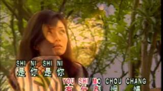 潘美辰 --- 是你