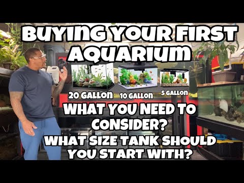 BUYING YOUR FIRST AQUARIUM
