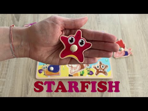 Discover Underwater Creatures with Activity Puzzle!
