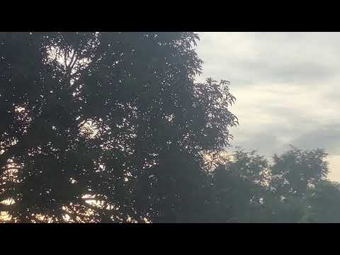something_good.mp4