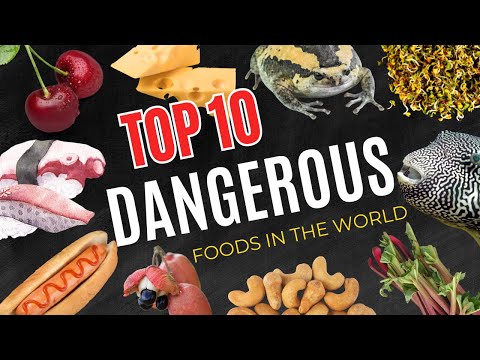 Extreme Eats - 10 Most Dangerous Foods That Will Shock You