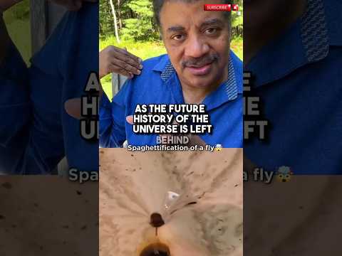 Fly got spaghettified 😱 with Neil deGrasse Tyson. #spaceeducation #space #blackhole