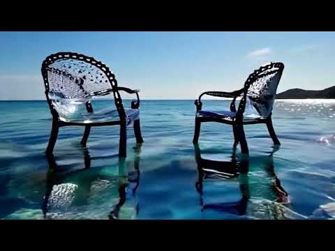 TRANSPARENT