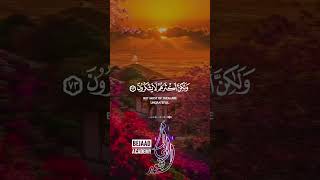 #أبي_الجعد #أبي_الجعد #الزاوية_الشرقاوية #الزاوية_الشرقاوية #bejaad #ابي_الجعد #ابي_الجعد_الخضراء