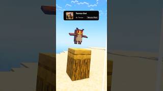 Minecraft ✅ BEST Texture / Resource Packs.
