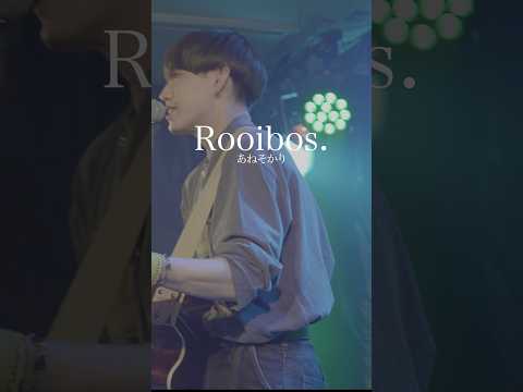 Rooibos./あねそかり　#弾き語り #original #music #shorts #tea #singer #live