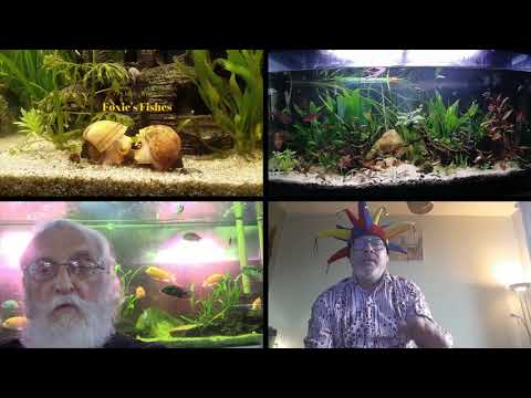 Photo & Video Gallery this months collection at Father Fish in the morning.