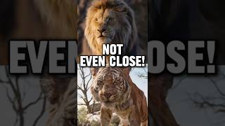 Why Mufasa VS Shere Khan ISN’T EVEN CLOSE!  #lion #tiger #lionking #disney #junglebook #vs #battle