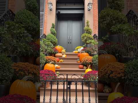 Fall in Manhattan! 🍁Quick NYC Trip – Exploring the Streets, Sights, & People-Watching!🌇 #FallInNYC