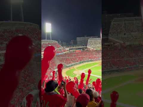 #プロ野球 #npb #hiroshimacarp #棒球 #야구 #japantravel #japan