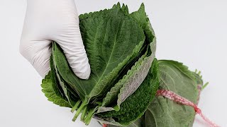 깻잎을 시들지 않게 보관하는 방법