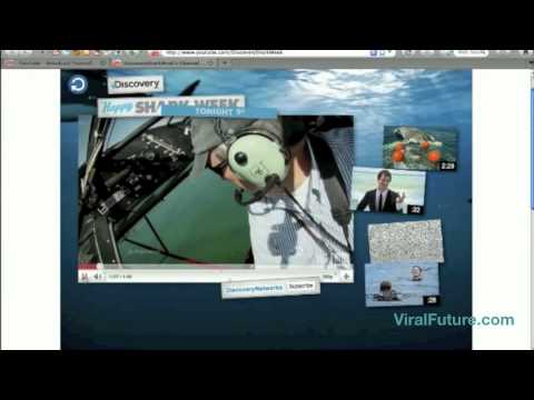Discovery Shark Week's Amazing YouTube Ad - Andy Samberg Chief Shark Officer