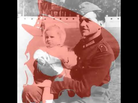 The Luftwaffe had a? #english ,#englishhistory ,#englishshorts ,