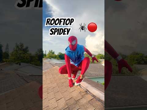 Rooftop Spider-Man Cosplay #spiderman #spideycosplay #spiderman4