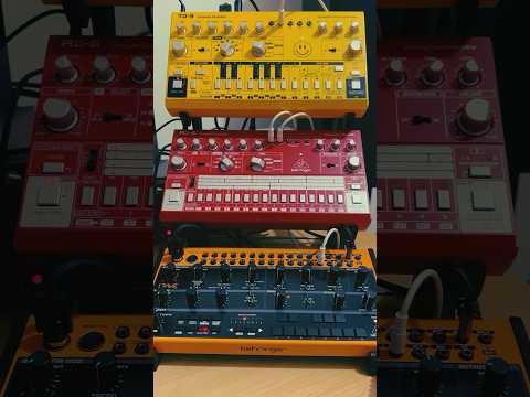Behringer TD-3, RD-6 and Crave ⚡️🤖 #behringer #behringercrave #td3 #rd6 #synth #jam #dawless #acid