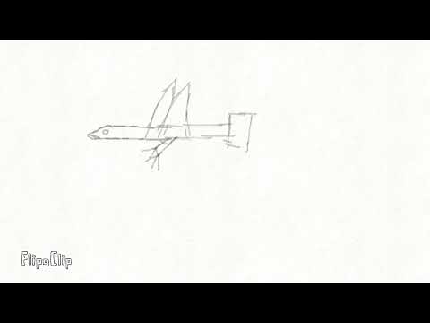 Me testing the airplane bird