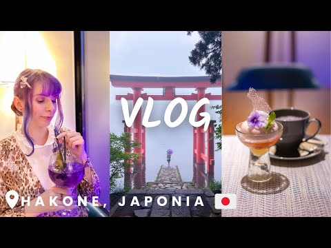 Sezonul ploios în Japonia | Vlog ASMR