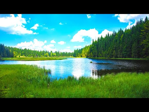 Calming Violin Melody | Autumn Ambience | Music To Attract Positive Energy | Spa Music