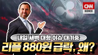 리플 비트코인 이더리움 - 리플 880원선 붕괴, “추가급락 이유는?”