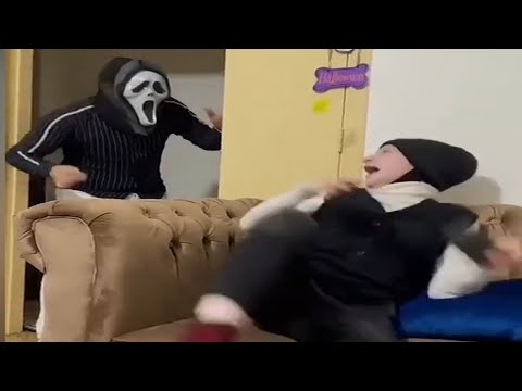 Best Prank Reaction Collection #56 | Scary Pranks/JumpScares/Funny Videos/Funny Fails