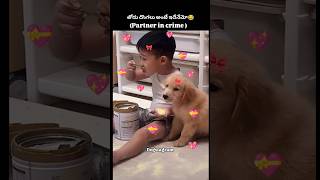 Partner in crime 💝 #dogs #memes #shorts #cutedogs#cutepuppy #dogstagram #funny #comedy