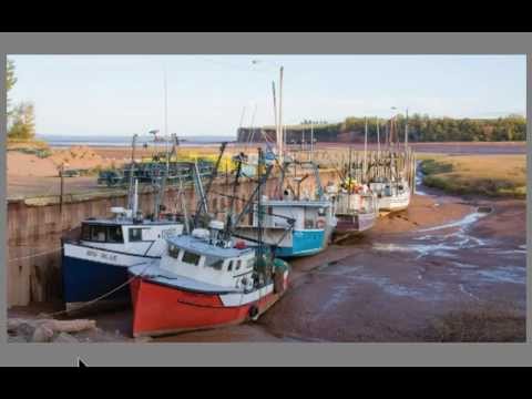 Ocean Tides Video 1