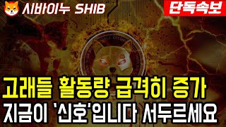 [시바이누 전망]고래들 활동량 급격히 증가 지금이 '신호'입니다 서두르세요 #업비트시황 #코인시황 #급등코인추천#시바이누대응