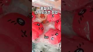살거없어도 가면 살게 생기는 농담곰 팝업스토어 #나가노마켓
