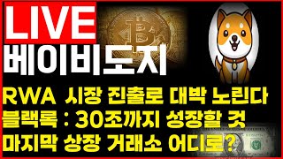 [베이비도지]BABY DOGE 재단공식 발표! RWA 시장 진출! 블랙록 언급 효과로 미친 상승렐리 시작합니다!