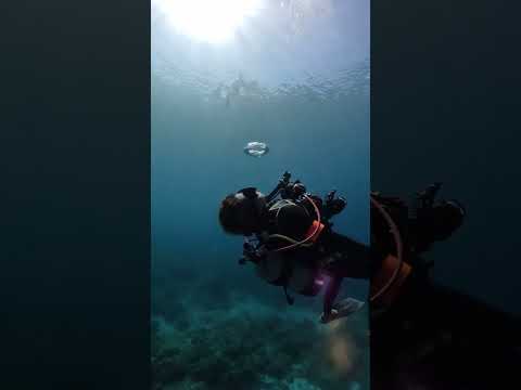 #ocean #oceans #ocean4k