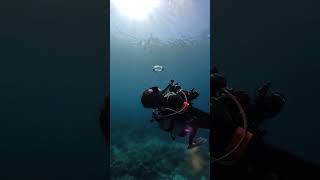 #ocean #oceans #ocean4k