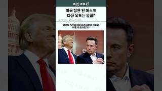 일론 머스크, 트럼프 정부 장관 됐다... 다음 목표는 유럽 정치?