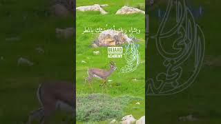 #أبي_الجعد #الزاوية_الشرقاوية #bejaad #ابي_الجعد #ابي_الجعد_الخضراء #إيجابية #boujaad #استثمار
