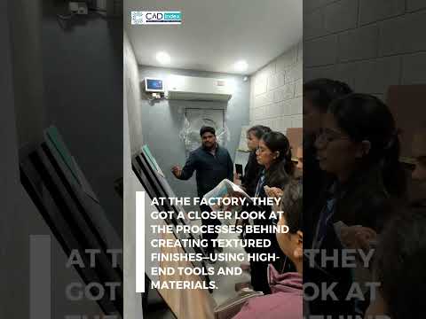 CADINDEX Industrial Tour 2024: Exploring Luxury Texture Paints & Modern Decor Techniques #cadindex