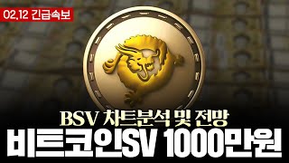 비트코인에스브이 | 비트코인과 비트코인SV가 뒤바뀔 수 있을까요? #비트코인에스브이