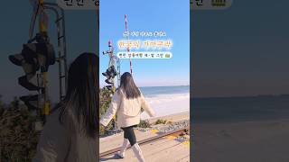 쉿! 아무도 모르는 한국 가마쿠라 감성 기찻길 🚃 #강릉여행 #강릉여행코스 #강릉가볼만한곳 #강원도여행 #강릉여행 #묵호여행 #국내여행추천 #gangneung