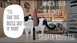 What A Laser! Shibata Kotetsu